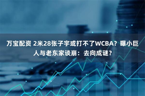 万宝配资 2米28张子宇或打不了WCBA？曝小巨人与老东家谈崩：去向成谜？