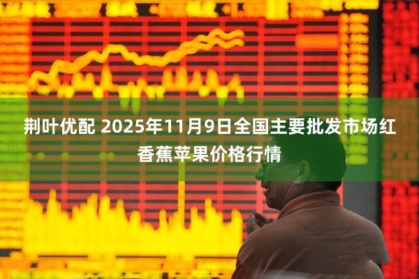 荆叶优配 2025年11月9日全国主要批发市场红香蕉苹果价格行情