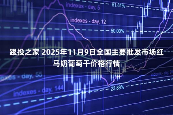 跟投之家 2025年11月9日全国主要批发市场红马奶葡萄干价格行情