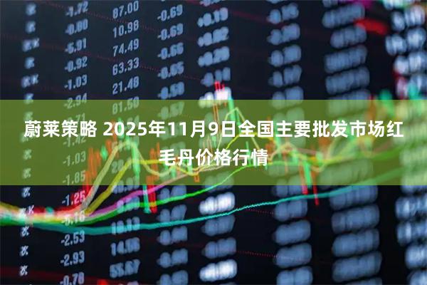 蔚莱策略 2025年11月9日全国主要批发市场红毛丹价格行情