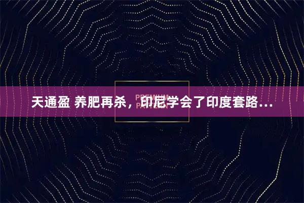 天通盈 养肥再杀，印尼学会了印度套路…